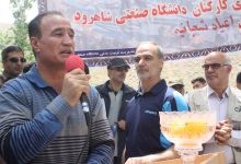 گزارش تصویری از همایش پیاده روی کارکنان در 22 اردیبهشت ماه 